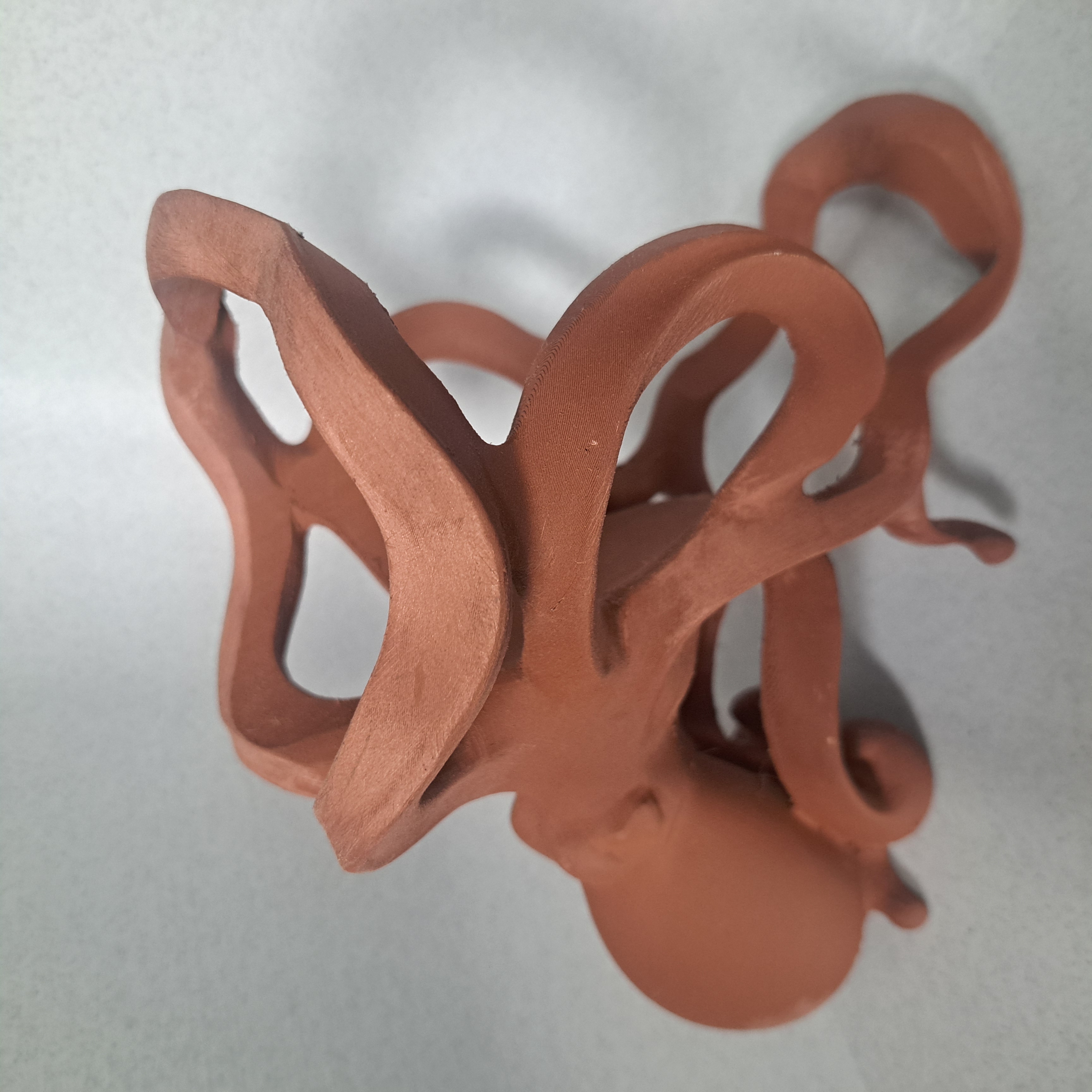 Octopus holder with pure copper surface exposed at the start of hand processing