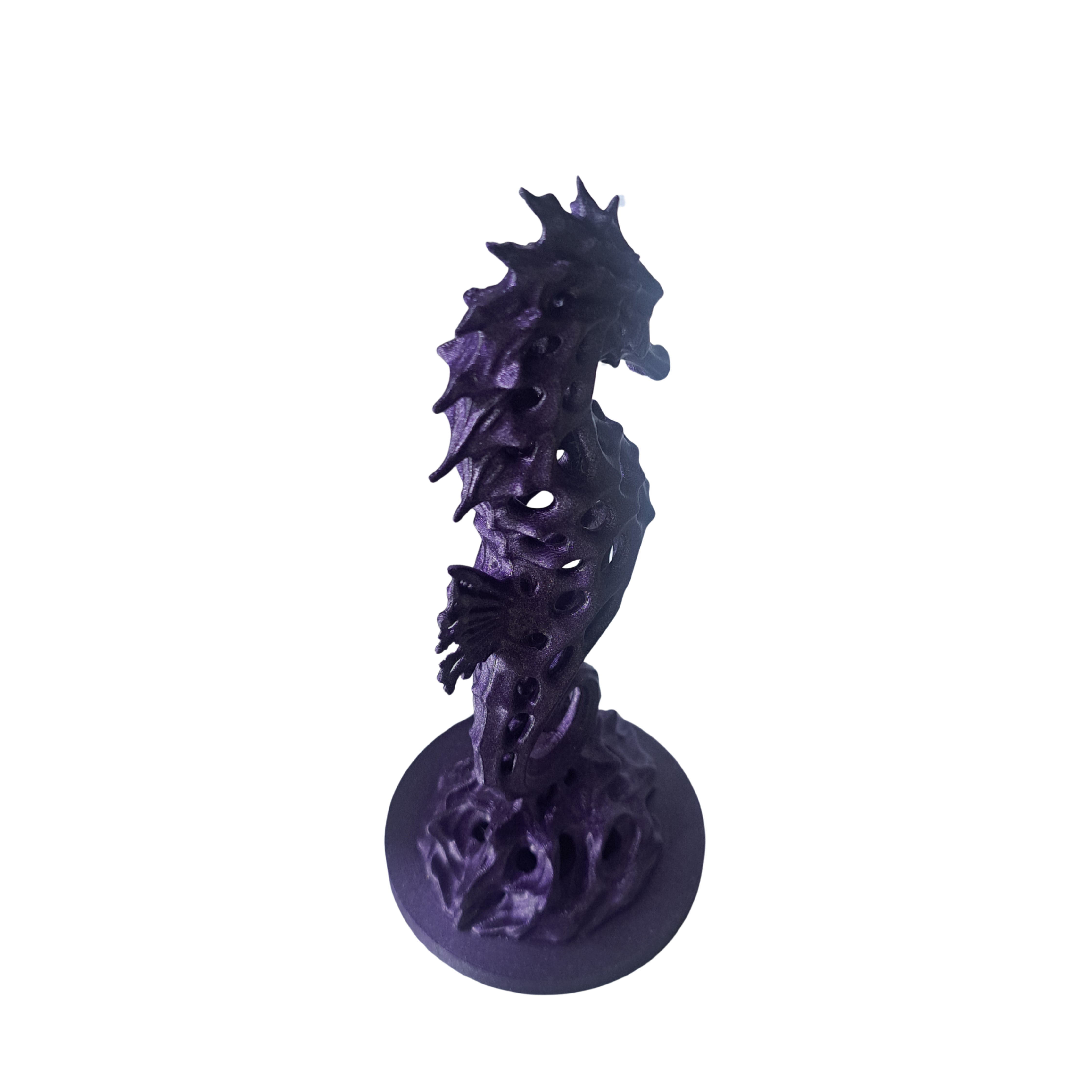 Surface and finish direction of the seahorse prototype